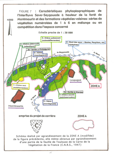Une mosaïque végétale originale et exceptionnelle