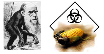 Evolution, génétique et biodiversité