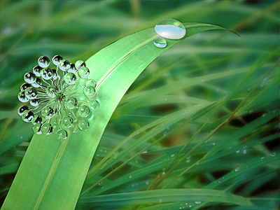 Quand les sucres se mettent au vert : nouvelles approches de la chimie durable au service du médicament