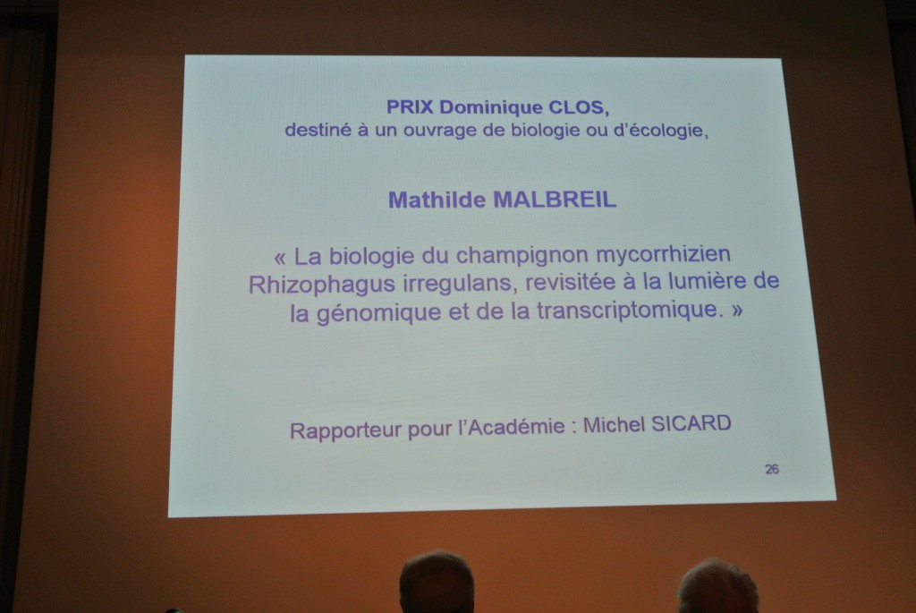 Malbreil 1